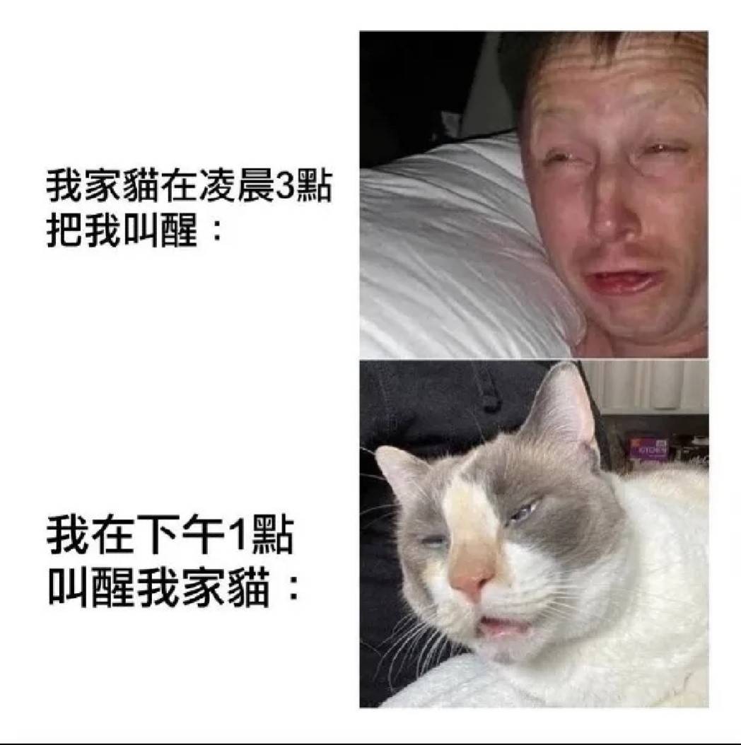 周一内涵囧图云飞系列 胸大真的穿什么衣服都显胖