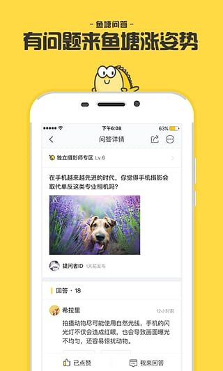 闲鱼 电脑版手机软件app截图