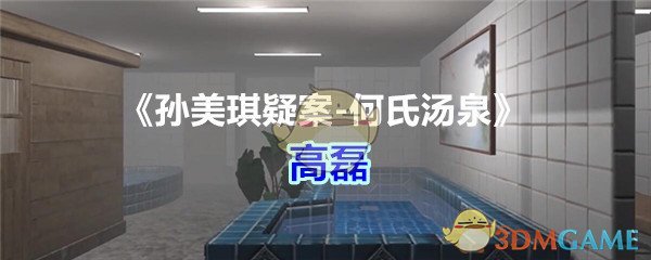 《孙美琪疑案-何氏汤泉》五级线索——高磊