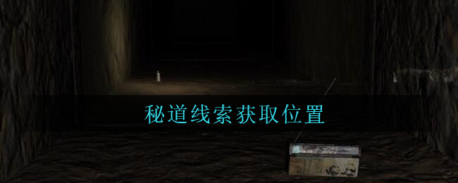 《孙美琪疑案：周芳》三级线索——秘道
